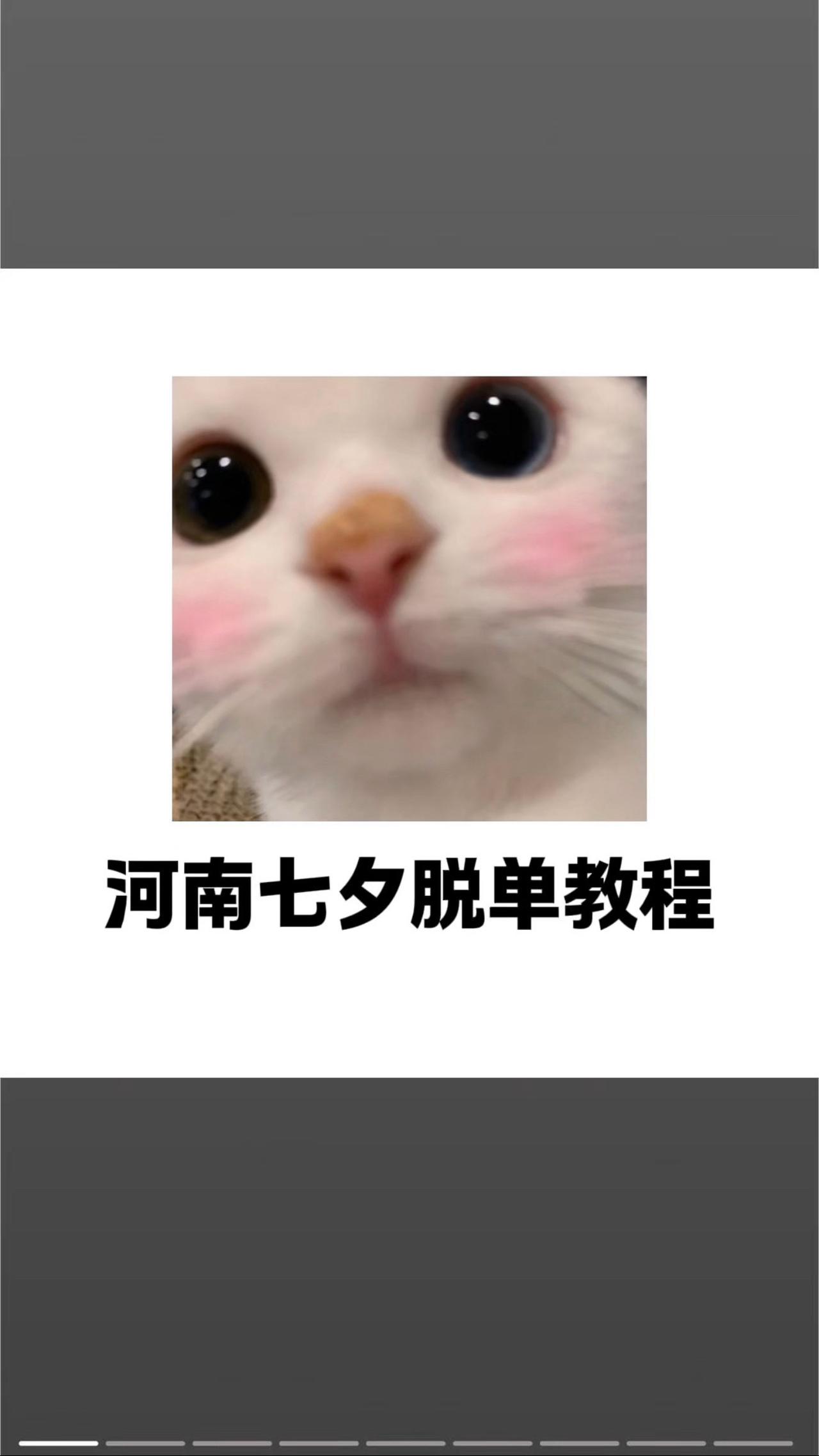 又是一年七夕节！不少河南的伙伴总是问南南怎么脱单！教程给大家准备好了，只允许河南