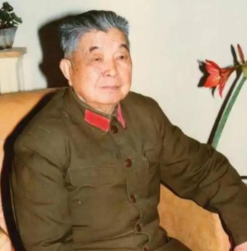 1953年，西康军区司令员刘忠，得知母亲和原配还在世，便携现任妻子回乡，当他看到