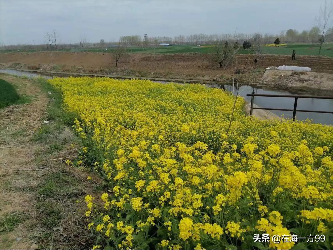 “天下苦闹久已”。十余年来，“农闹”利用网络的便利和传播面，在上面兴风作浪。造谣