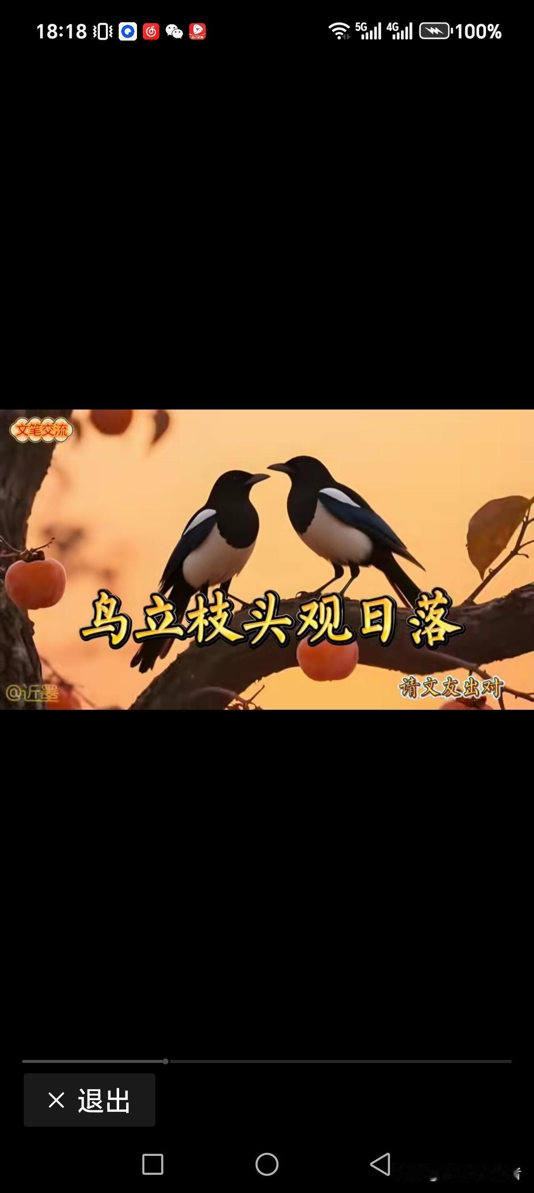 鸟立枝头观日落
柿红枯枝看月升