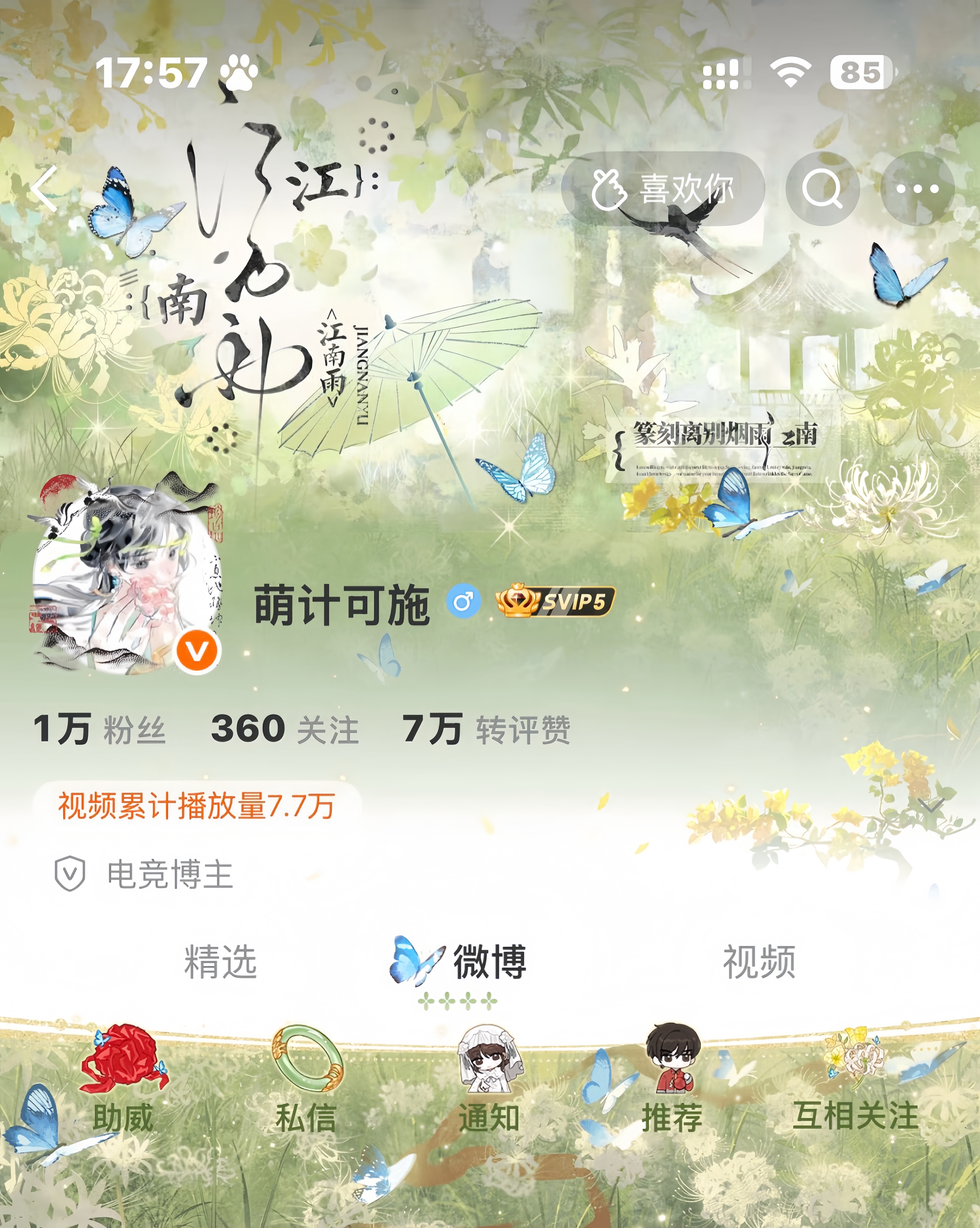 ⊹ ꔫ ⊹ 纸嫁衣普 ⊹ ꔫ ⊹  专栏 · 咔嚓留念