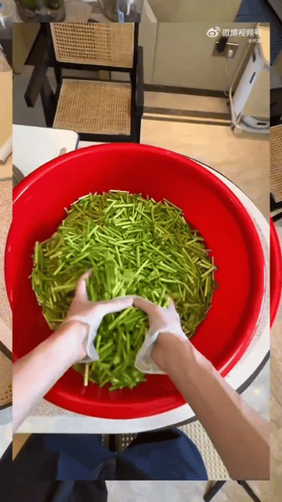 代旭上声乐课顺带学会腌蒜苔咸菜代旭一举两得唱歌咸菜全都拿下学到了！想跟着井胧上声