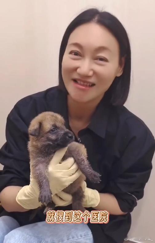 领养剩下三只 可以和惠英红做亲戚 明星提倡领养代替购买，真是一个好势头！好消息！