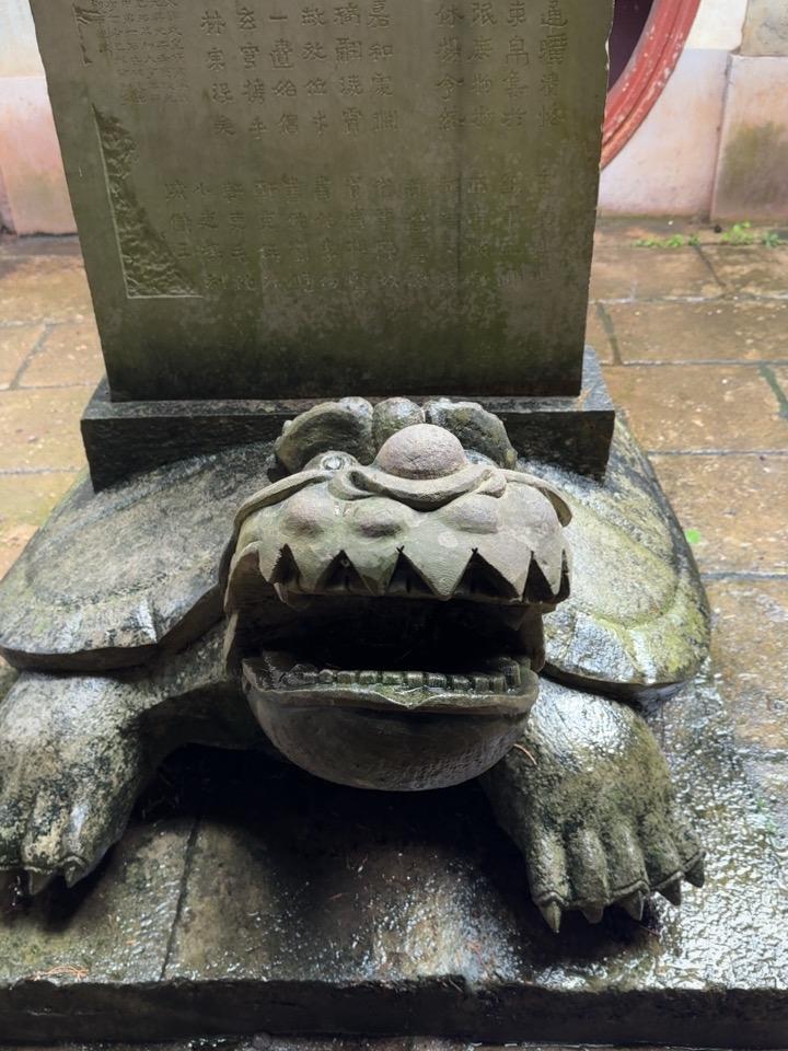 今天从早晨到现在都一直在下雨，昆明地区有大到暴雨。

阴雨天和晴天的生活习惯还是