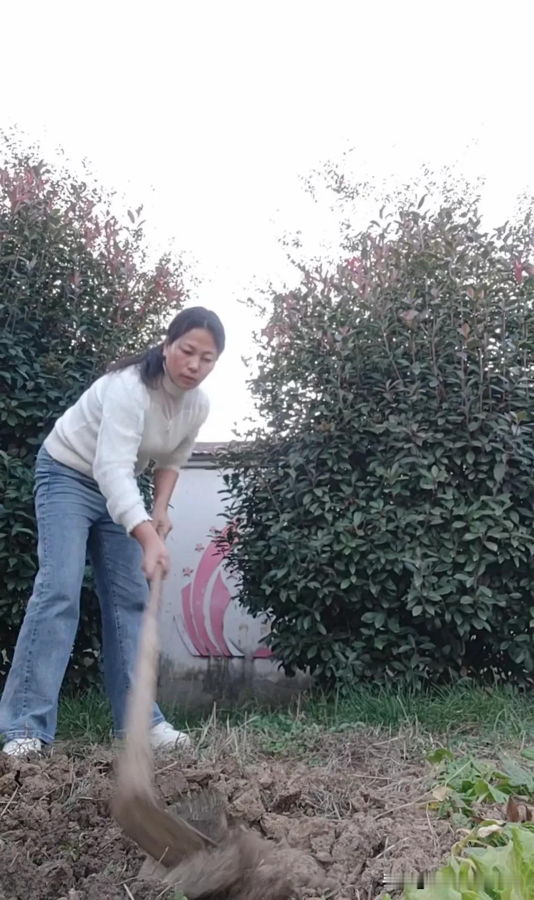 #＃生活随手拍＃# 作为一名小学教师，无欲无求，不为晋级发愁，不为同事之间勾心斗