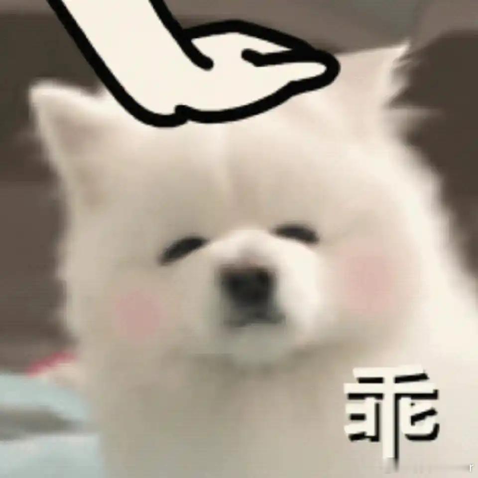 女主播称职业生涯掌握在粉丝手里  主播这行确实竞争激烈，但别忘了，身体才是革命的