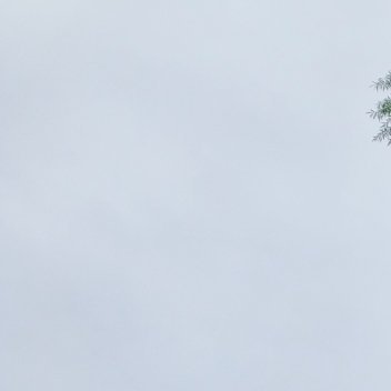 🦊🦊生命中总会遇到或多或少的问题，很多时候我们都在面对选择，总是会有犹豫也会