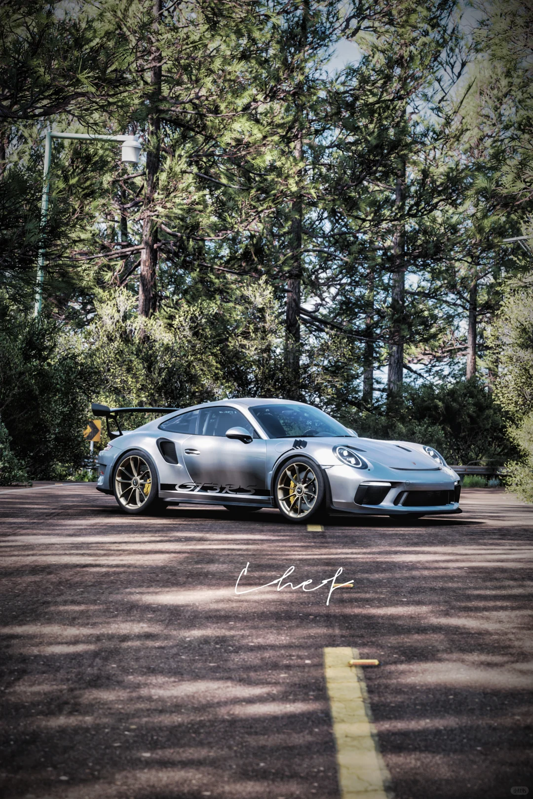 Porsche 991 GT3RS🇩🇪