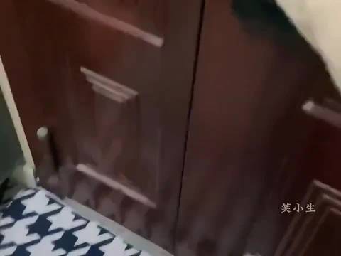#猫[超话]#这年头的小动物都这么有礼貌了吗？不仅会打招呼，被盘问住在哪一楼时，居然还知道回答！看这