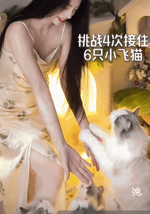这么可爱的毛孩子，有一只就不错了，她竟然有六只，这六只每月花钱可少不了吧!
