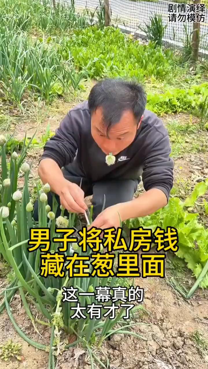 男子将私房钱藏在葱里面，这一幕真的太有才了。
男子悄悄的来到菜园，然后他环顾四周