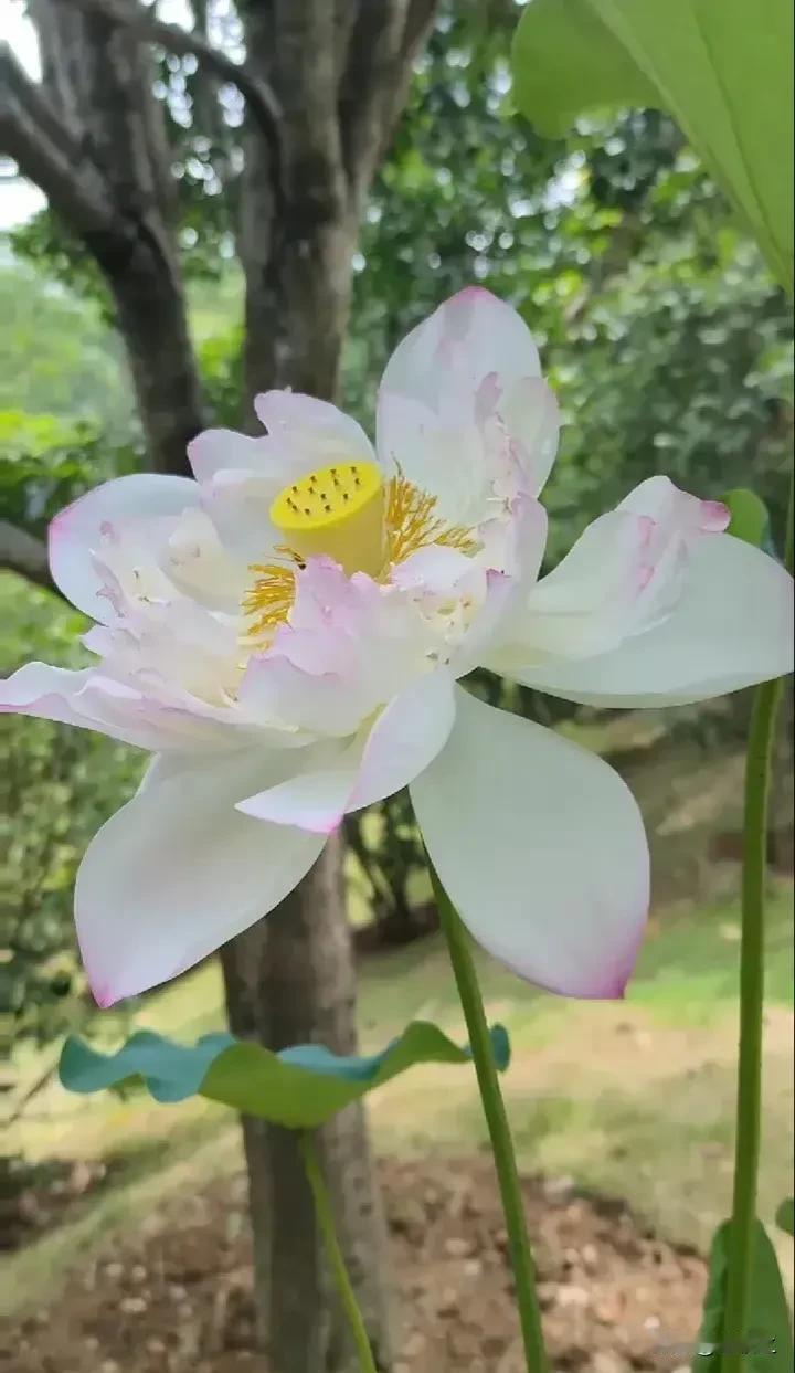 如果交朋友，请选择出世的智者、入世的强者、或者正直而阳光的普通人。