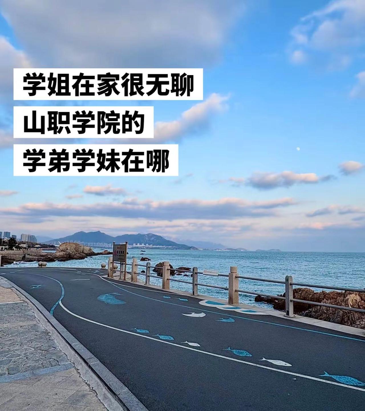 我的学弟学妹在哪。专科录取