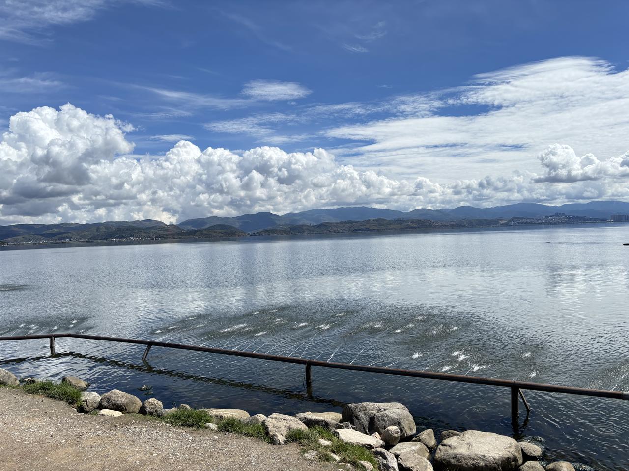今天这趟出门可算赚着了！
开车溜达到这片湖，一下车直接被这蓝天白云砸懵——那云跟