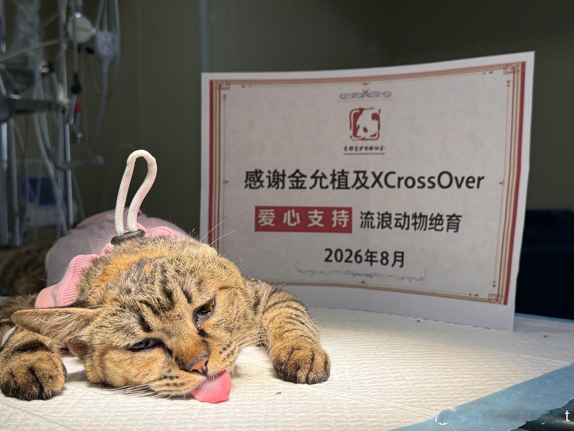 金允植粉丝 粉随正主，只知道金允植 是个温柔善良的人，粉丝也在跟随他的脚步做那样