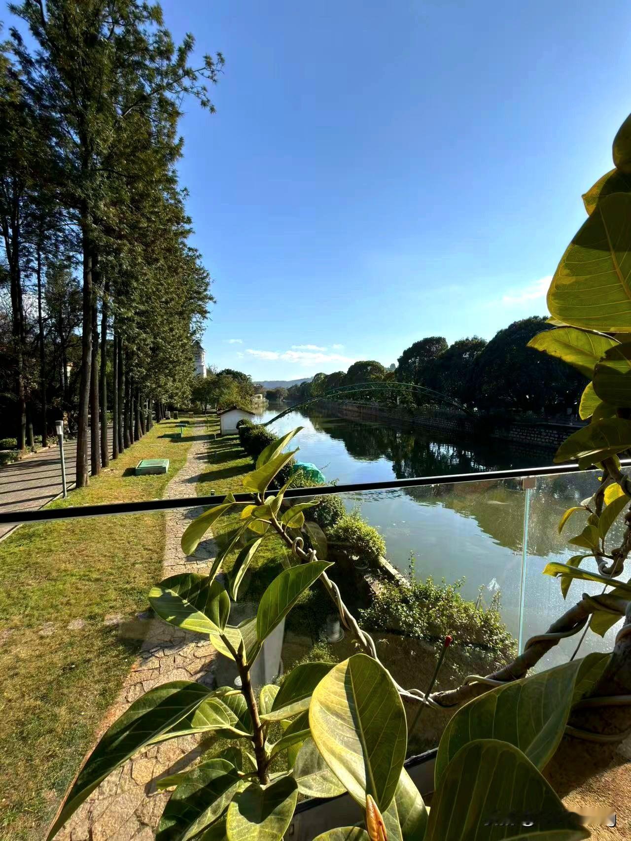今年春晚在任何一个平台上有人发未经授权的春晚作品，大家都狠狠的举报！
往年真是各
