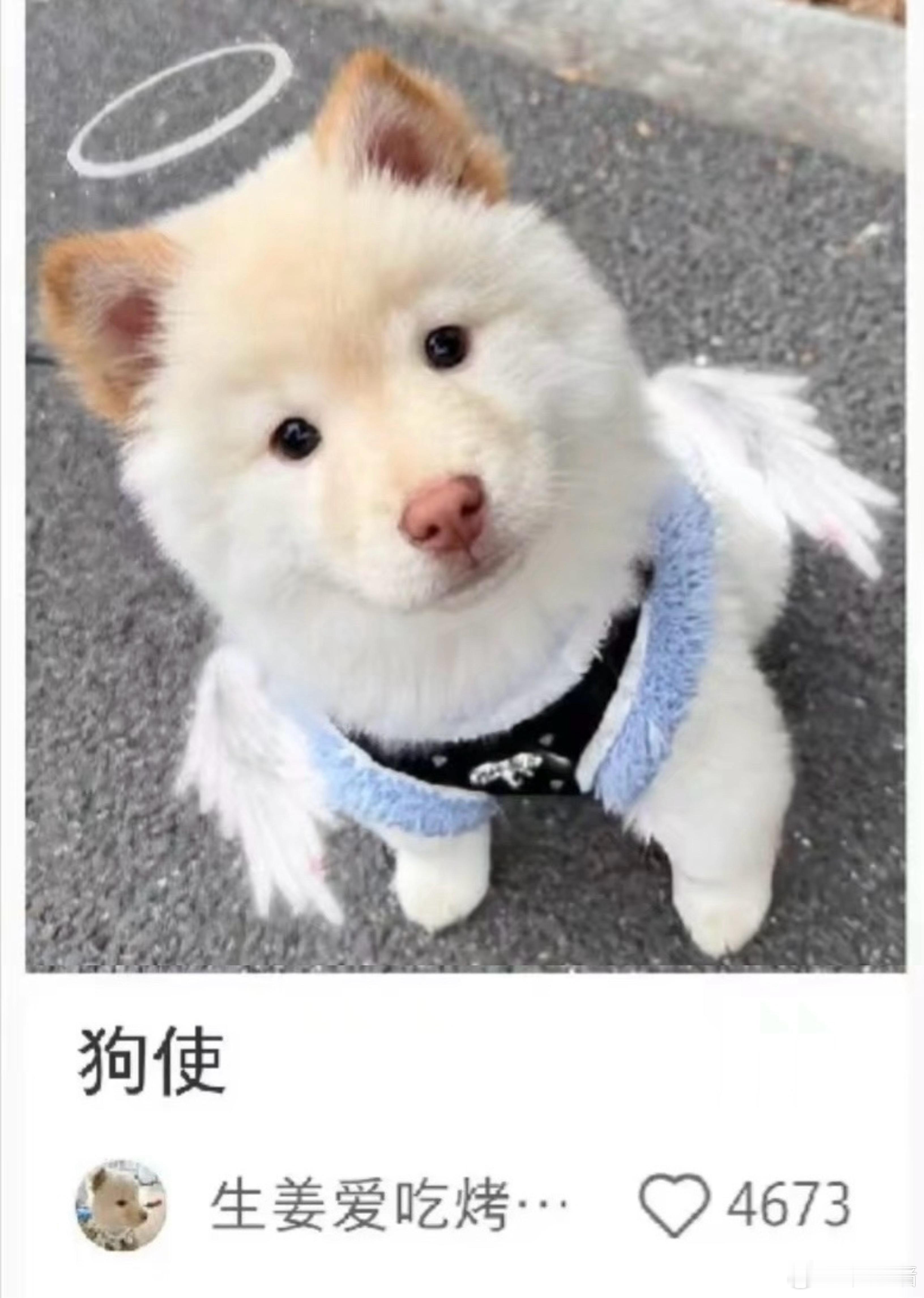 我笑点： 