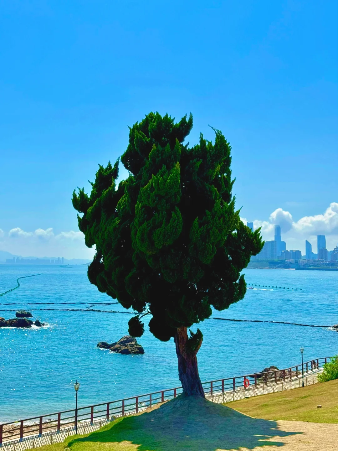 第一次去青岛！本地人推荐5️⃣条citywalk路线