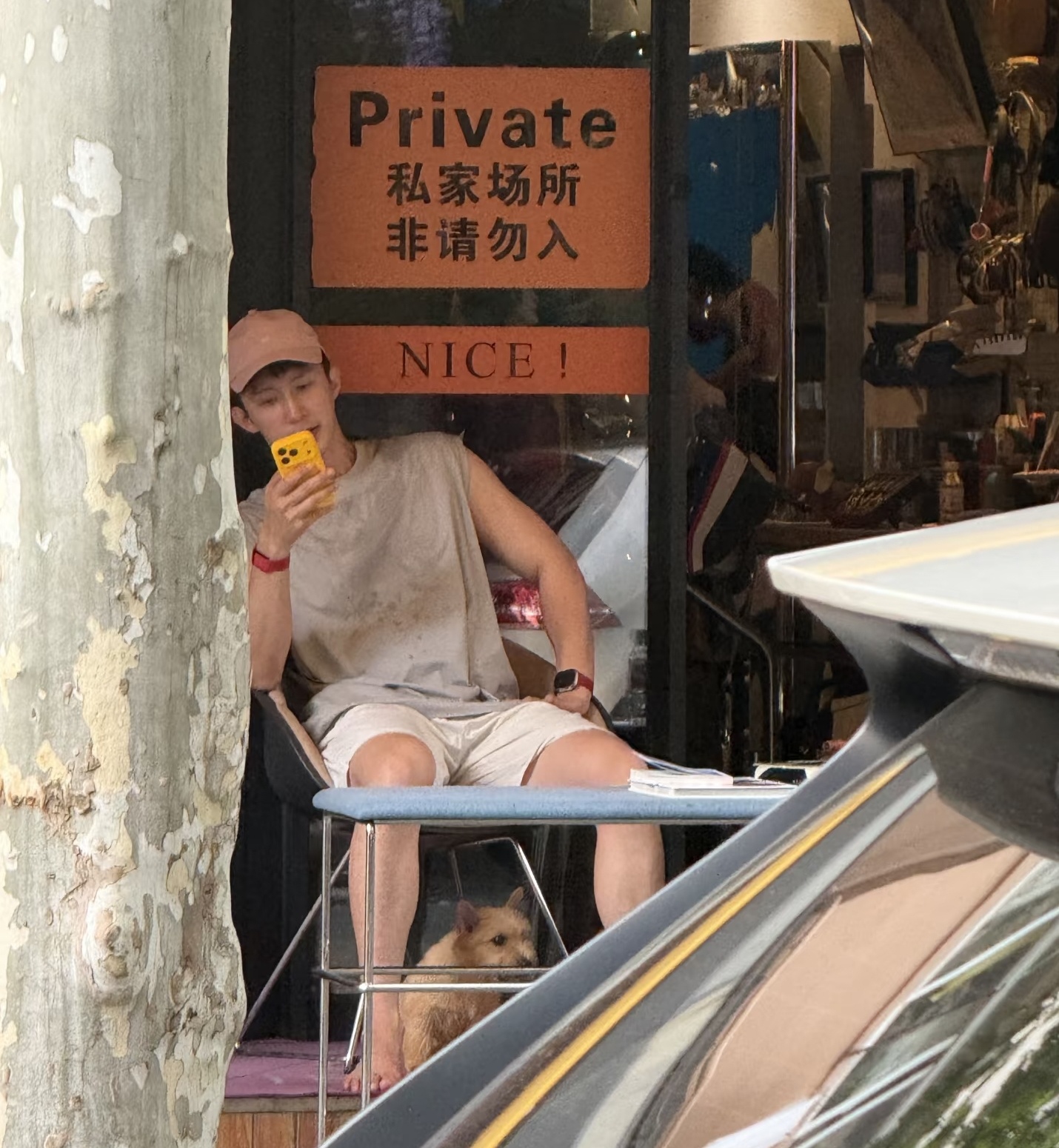 黄鱼的jiojio怕热 