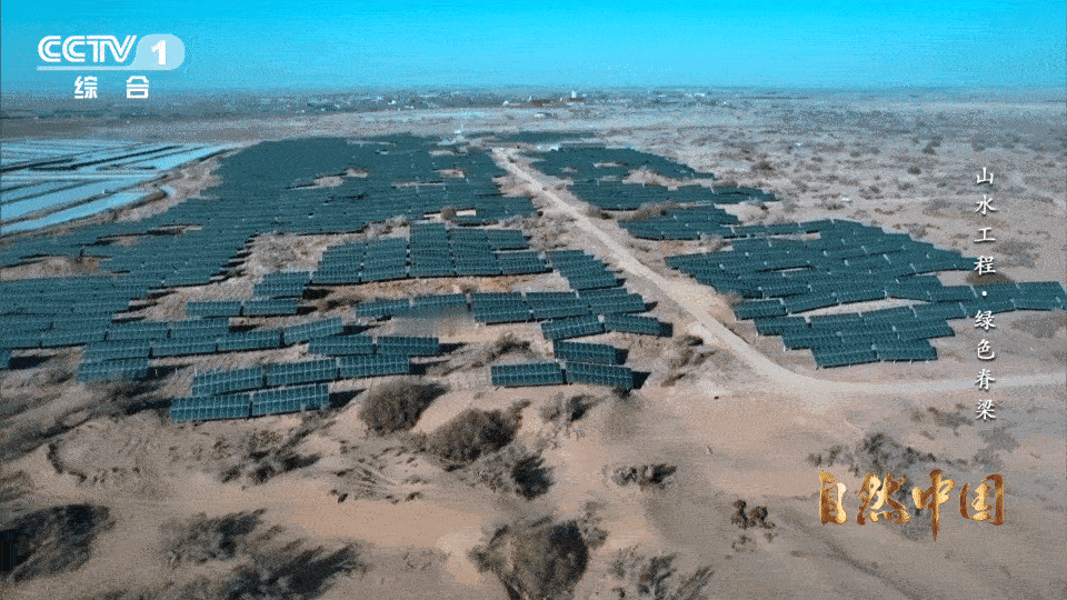 治沙界又添一员猛将 这片沙漠不仅有太阳能发电，还在实现“沙漠绿化”！巴彦淖尔的光