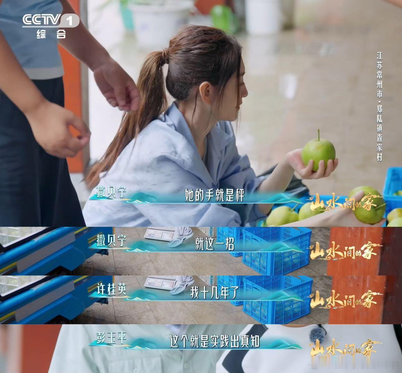 哪个梨更甜看底部 以前买梨全凭手感瞎猜，现在才知道有窍门！看底部就能知道甜不甜，