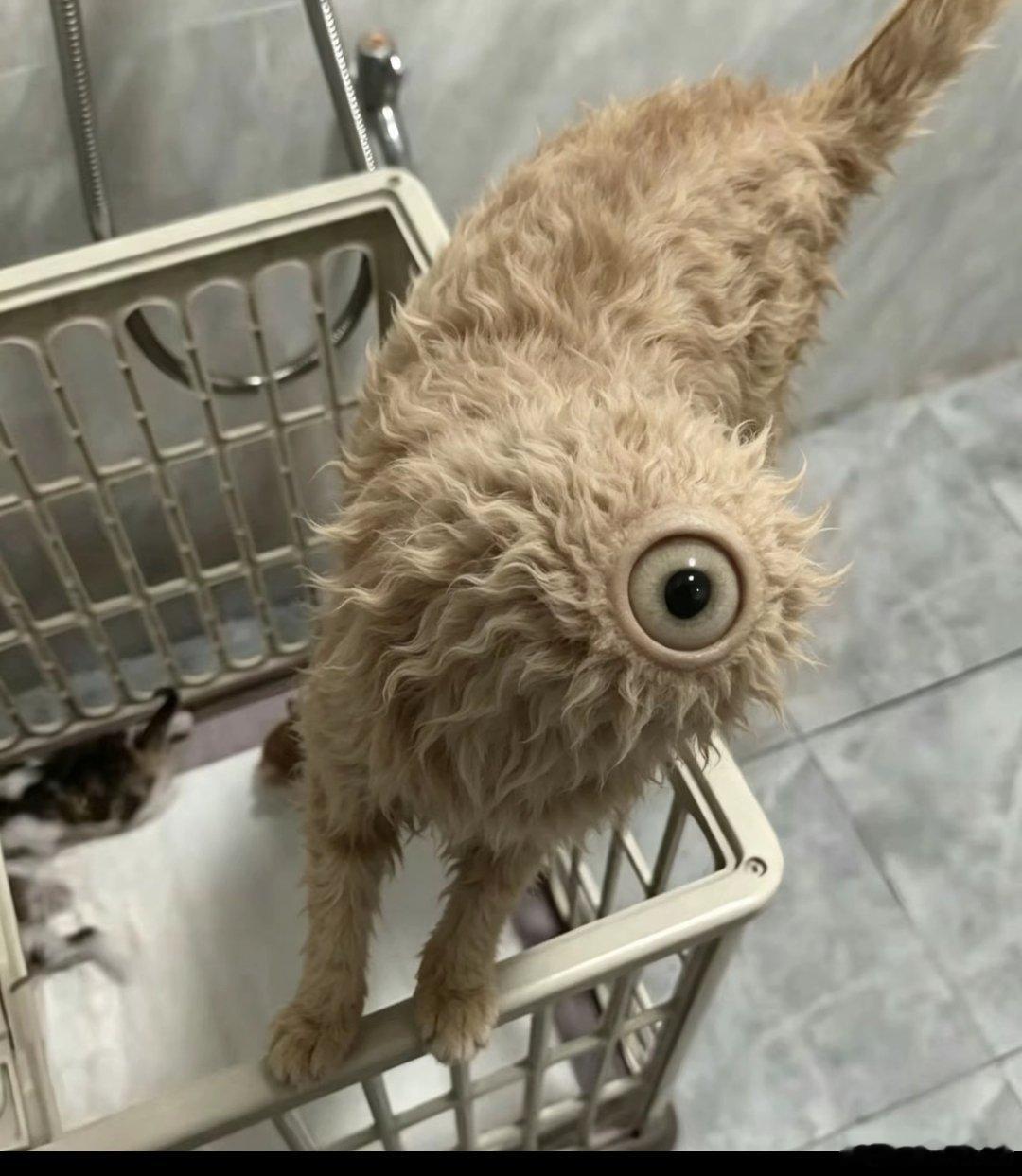 手机AI拍照 