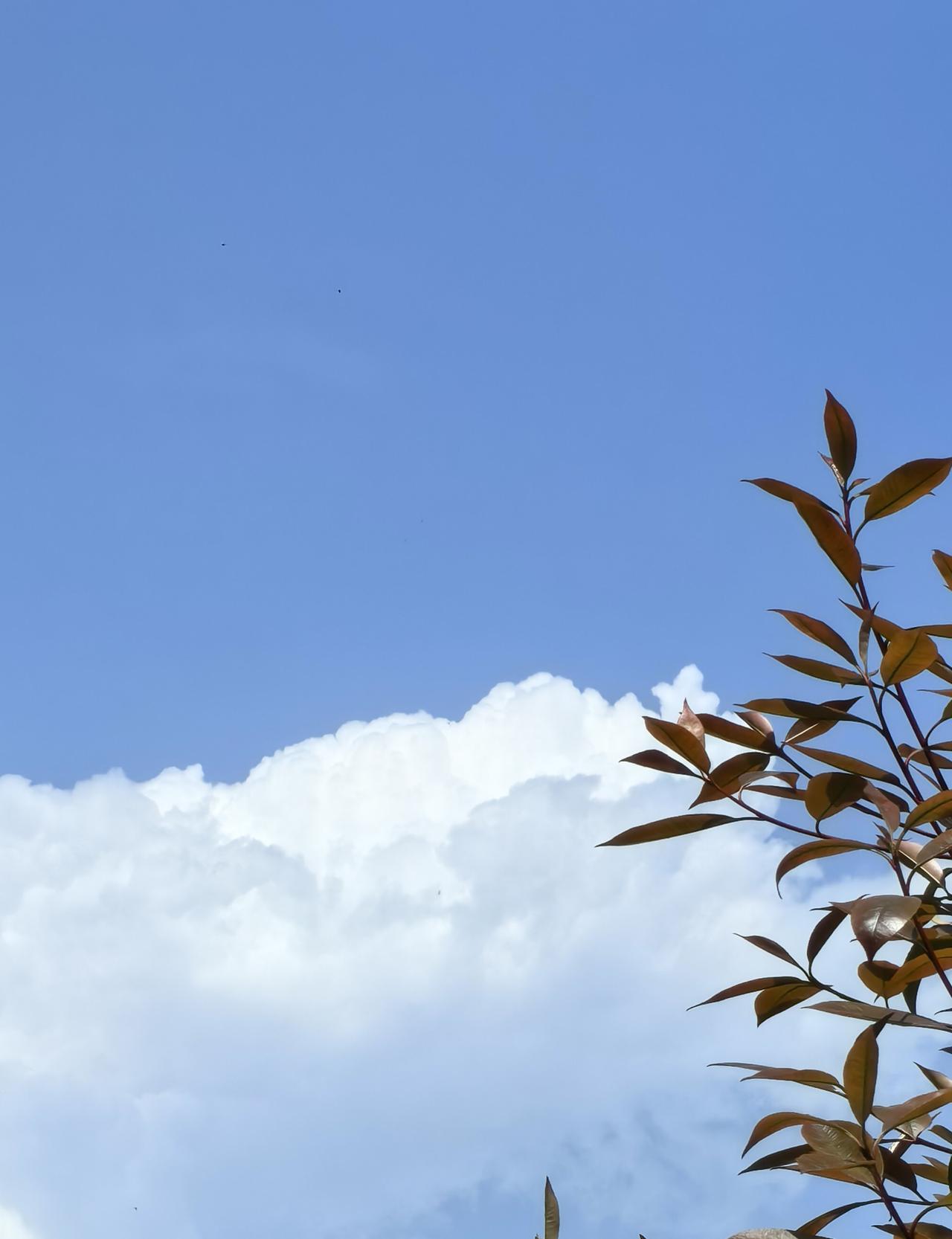 春日生活打卡季