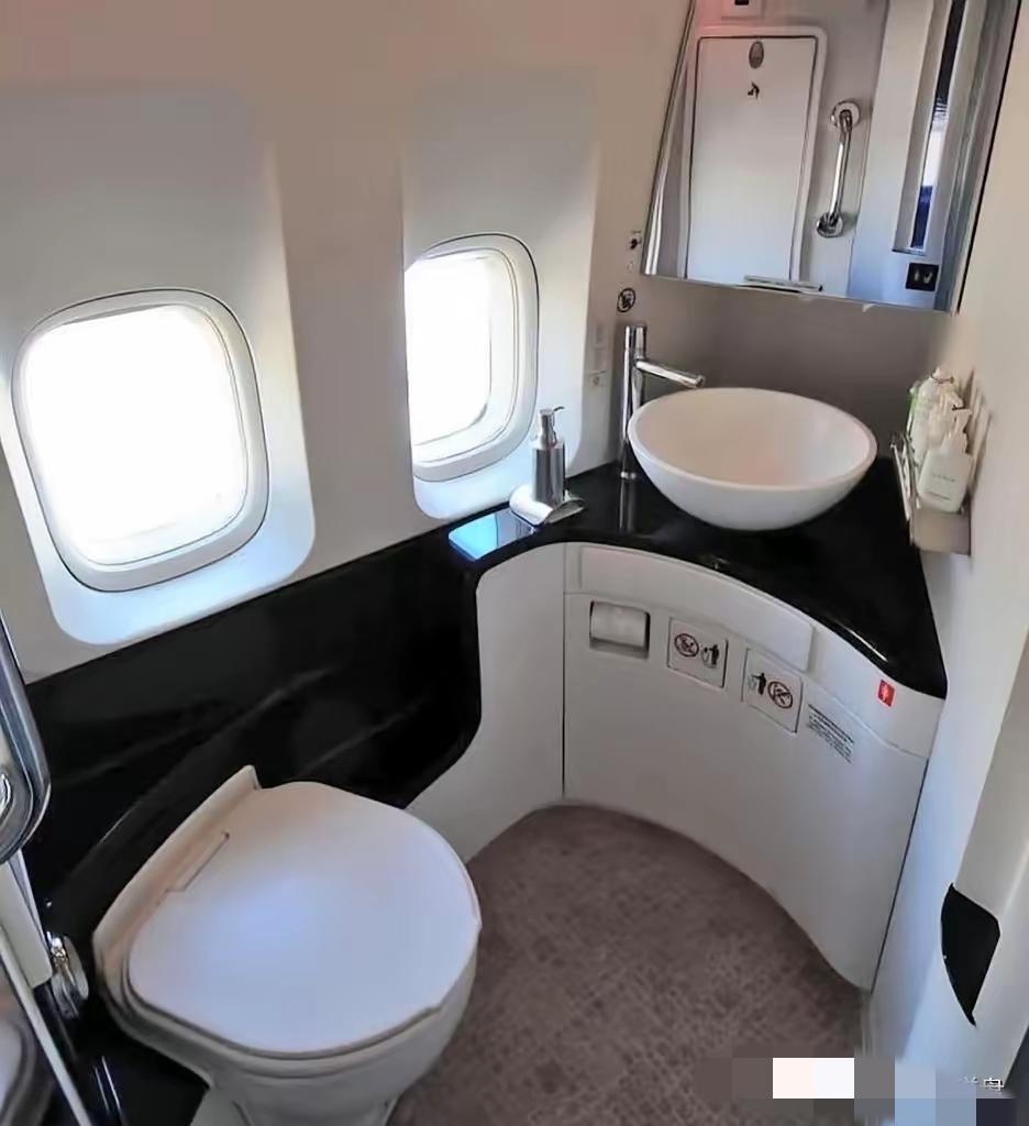 笑不活了！头等舱洗手间没窗帘怕被偷窥？英航的回复直接让人笑到拍腿！
 
女乘客吐