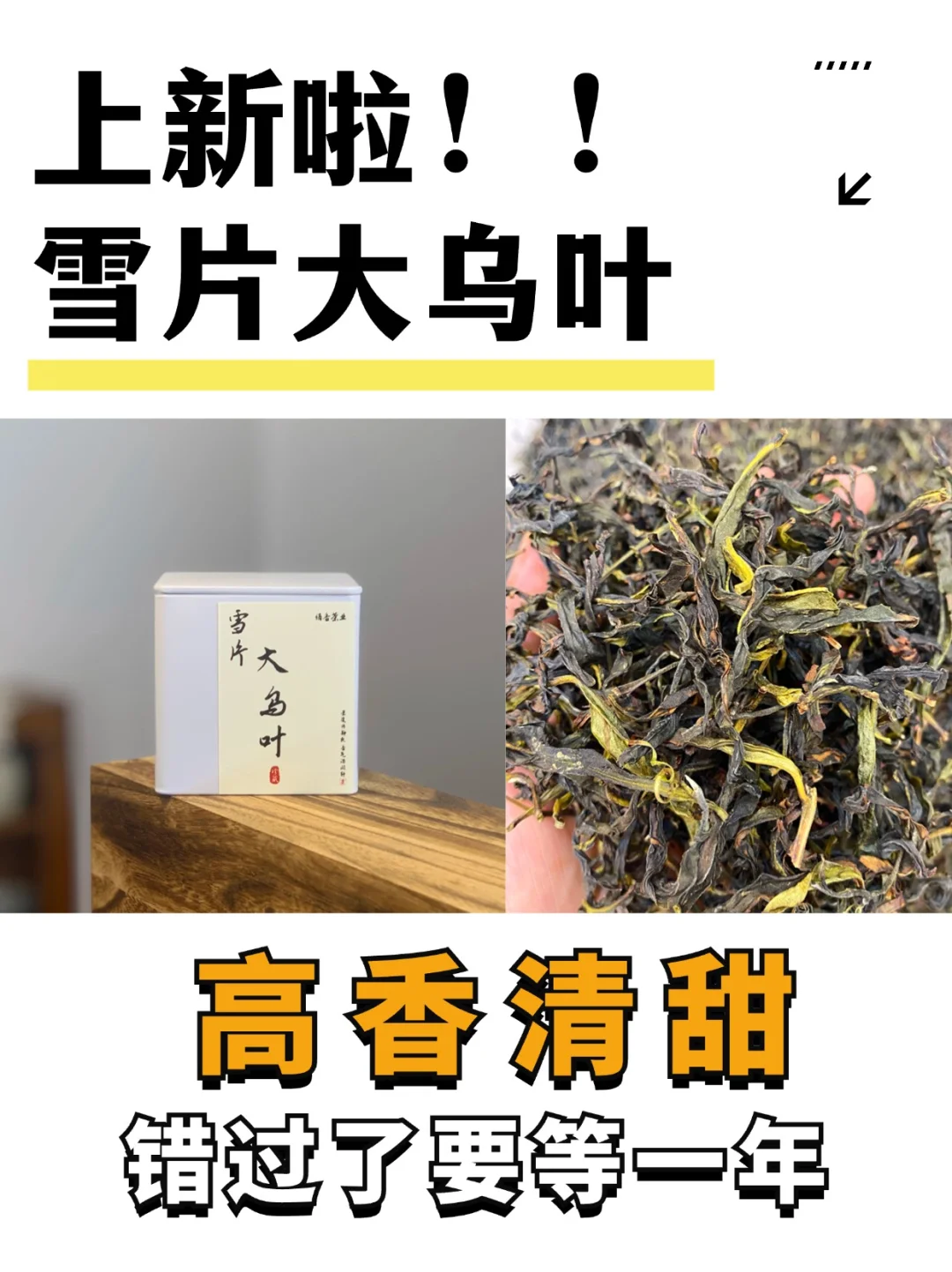 高香的雪片它来啦📣一年就一季，过了又一年