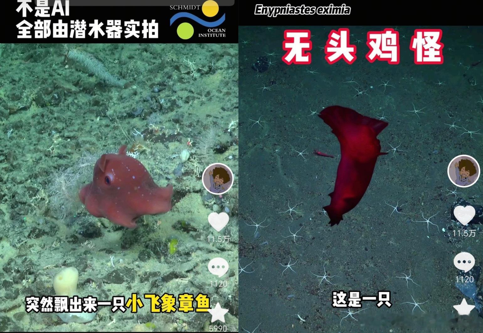 这期「精选奇遇记」让我看到了一个“非典型”学霸。95后哥大女孩硕士毕业后南极拍章