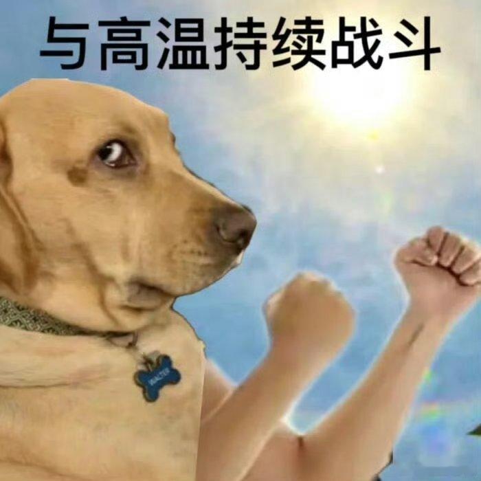 长沙未必有非洲凉快 谁来感受下长沙盛夏的威力，高温加高湿度双重夹击。非洲不少区域