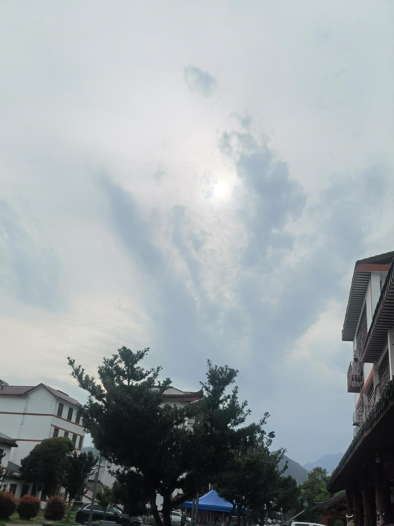 有传闻说特朗普病了。
事实上特朗普早就病了。胡言乱语，我行我素，一言一行，一举一