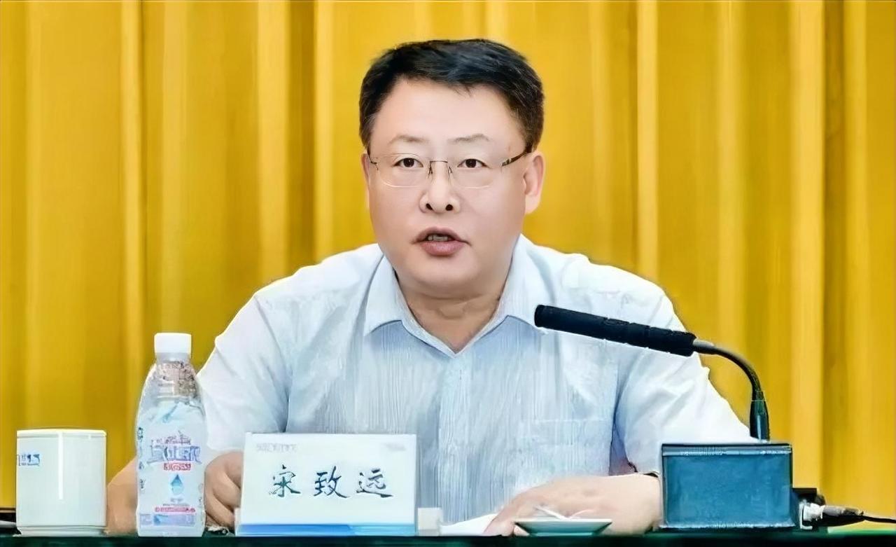 2026年8月8日周六打虎！宋致远被调查，看了他的履历，真是让我目瞪口呆，他在粮
