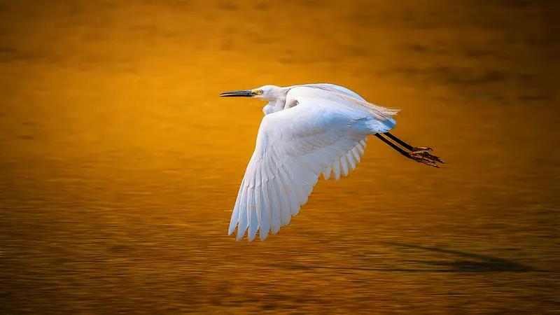 离谱！“翔”字从飞翔变脏话，百万博主因它翻车，名字带翔的人太难了
 
你敢信？“