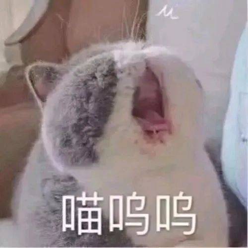 存点表情包