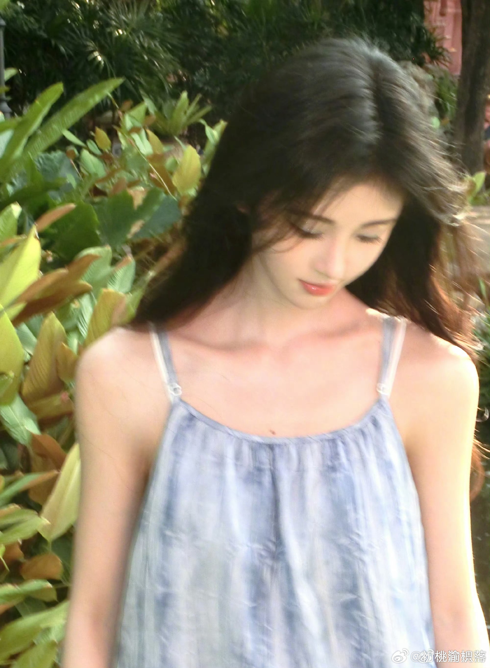 鞠婧祎  jjy鞠婧祎阿黛 jjy鞠婧祎苏绿夏 “青春的定义是朝阳日落，是少年走
