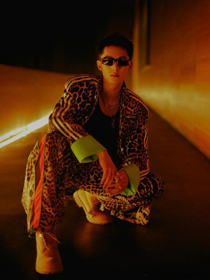 #王鹤棣豹纹cool感##王鹤棣野性斑影大片#王鹤棣的野性斑影大片，豹纹的搭配让