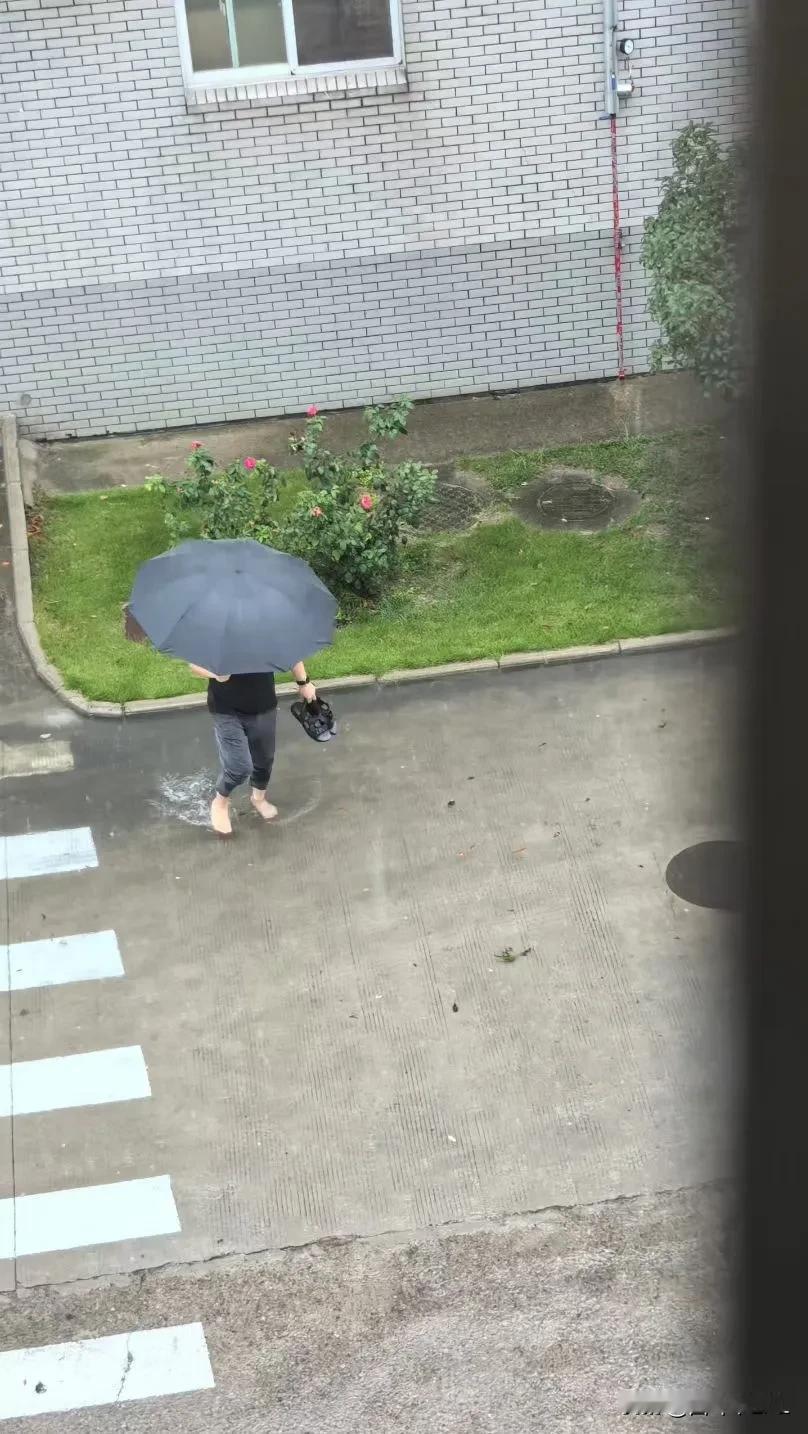 今天预报有暴雨，雨下的好急啊！一会儿工夫地上就水流成河，没办法走了，有个同事直接