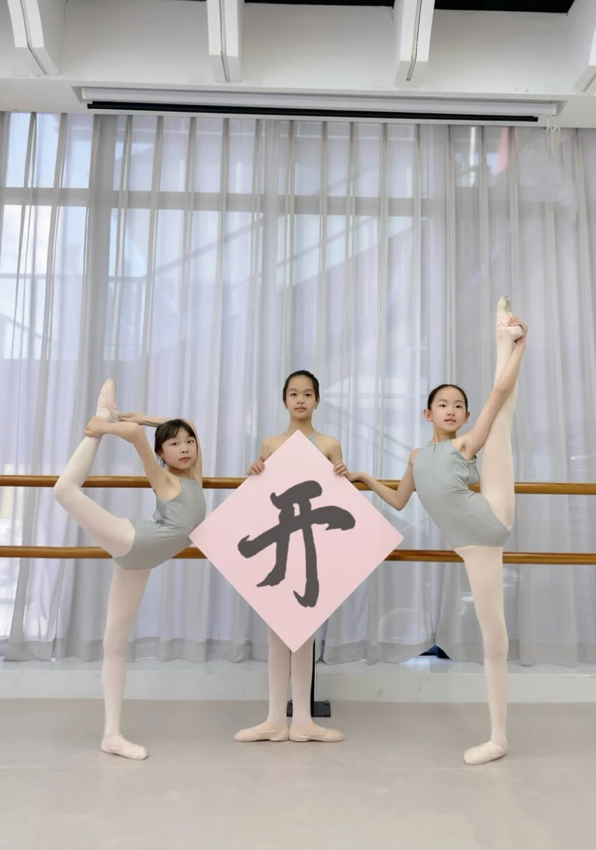 🩰芭蕾四要素，你学fei了？