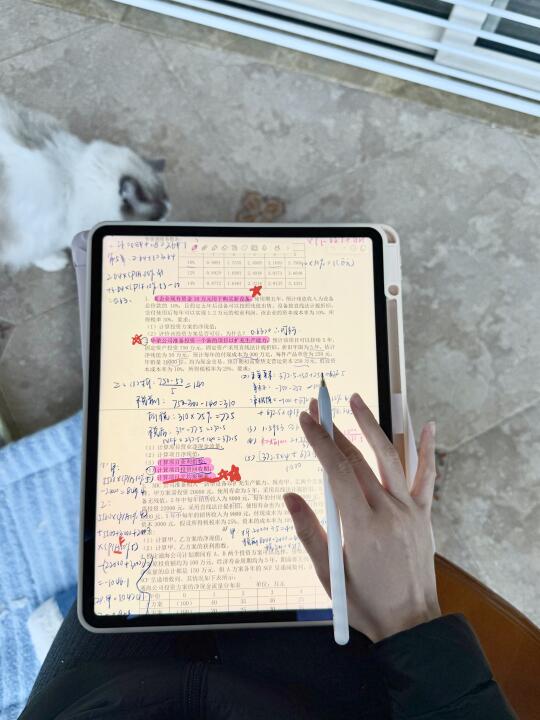 用ipad刷题真的很爽（怒学9h版）