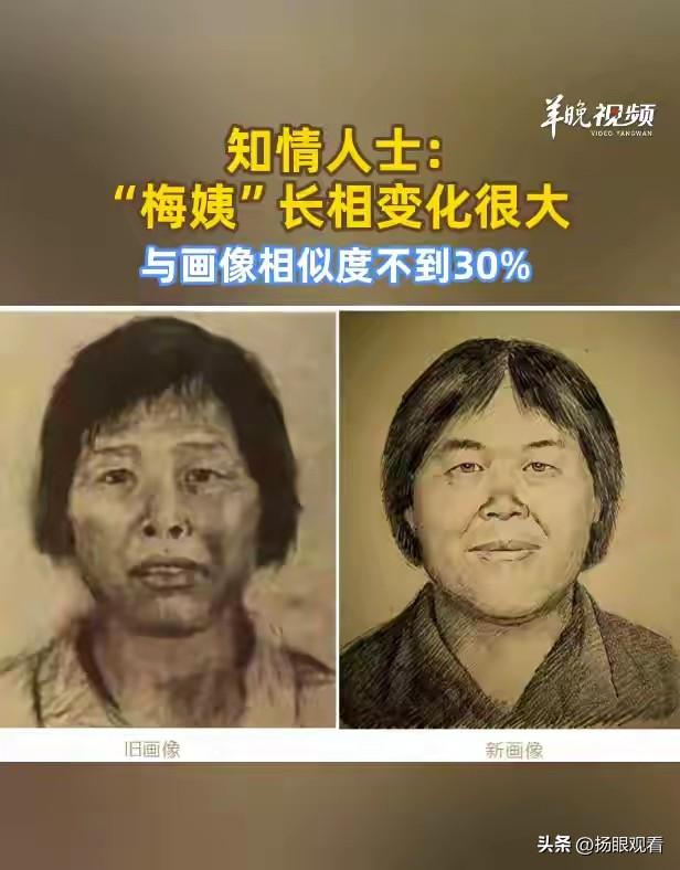 梅姨真人与画像相似度不到30%！我刷到这个热搜真的久久不能平静，追了这么多年的“