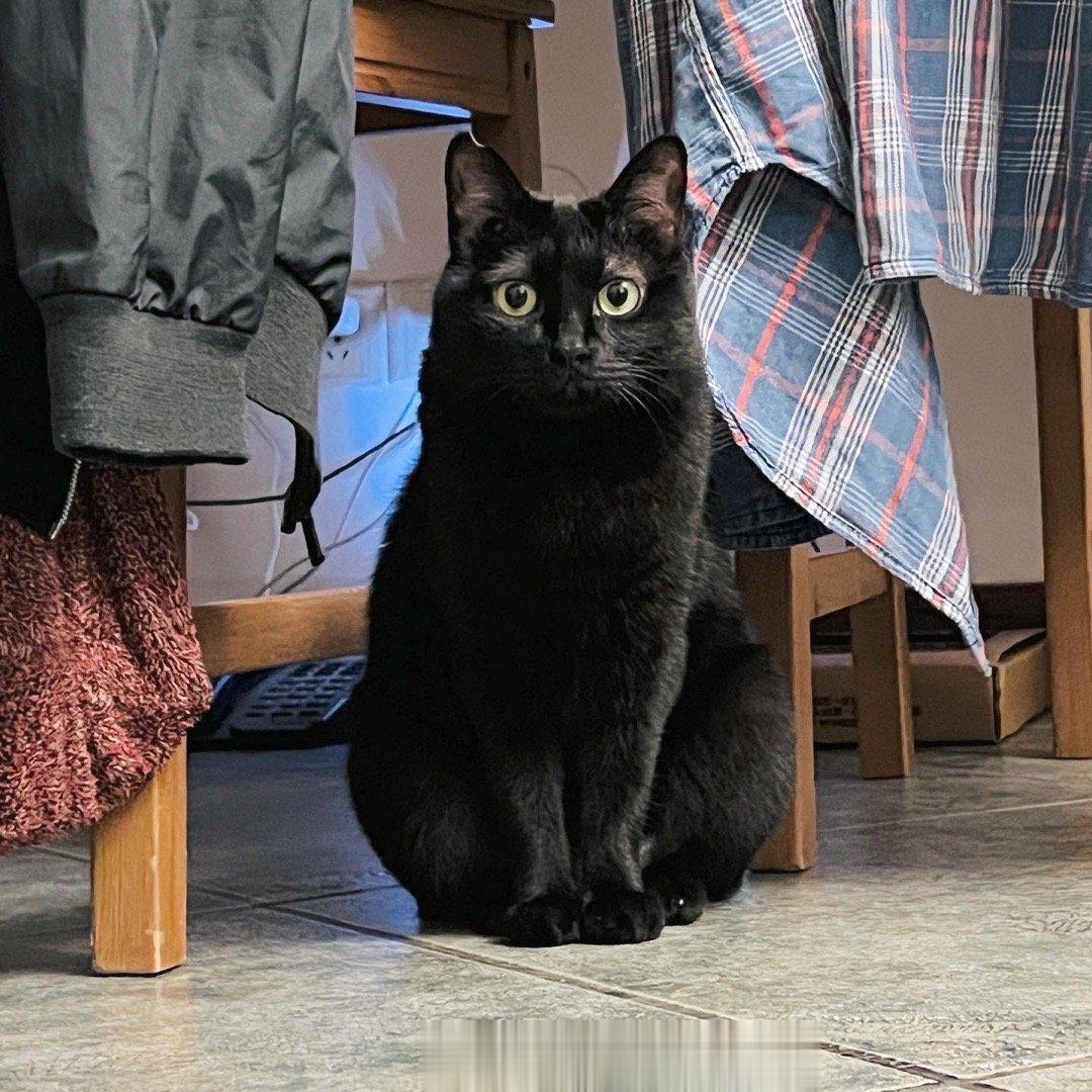 看一下我們可愛的蝦蝦🦐#蝦蝦不可以太可愛# ​​​