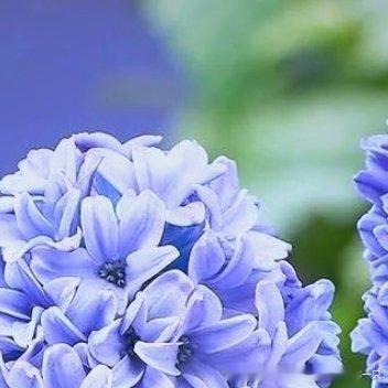 每日一善[超话]❤️每日一善 ❤️阳光信用 ​凿井者，起于三寸之坎，以就万仞之深