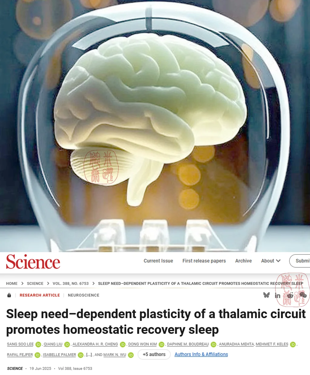 Science重磅-缺觉犯困的睡眠开关找到了