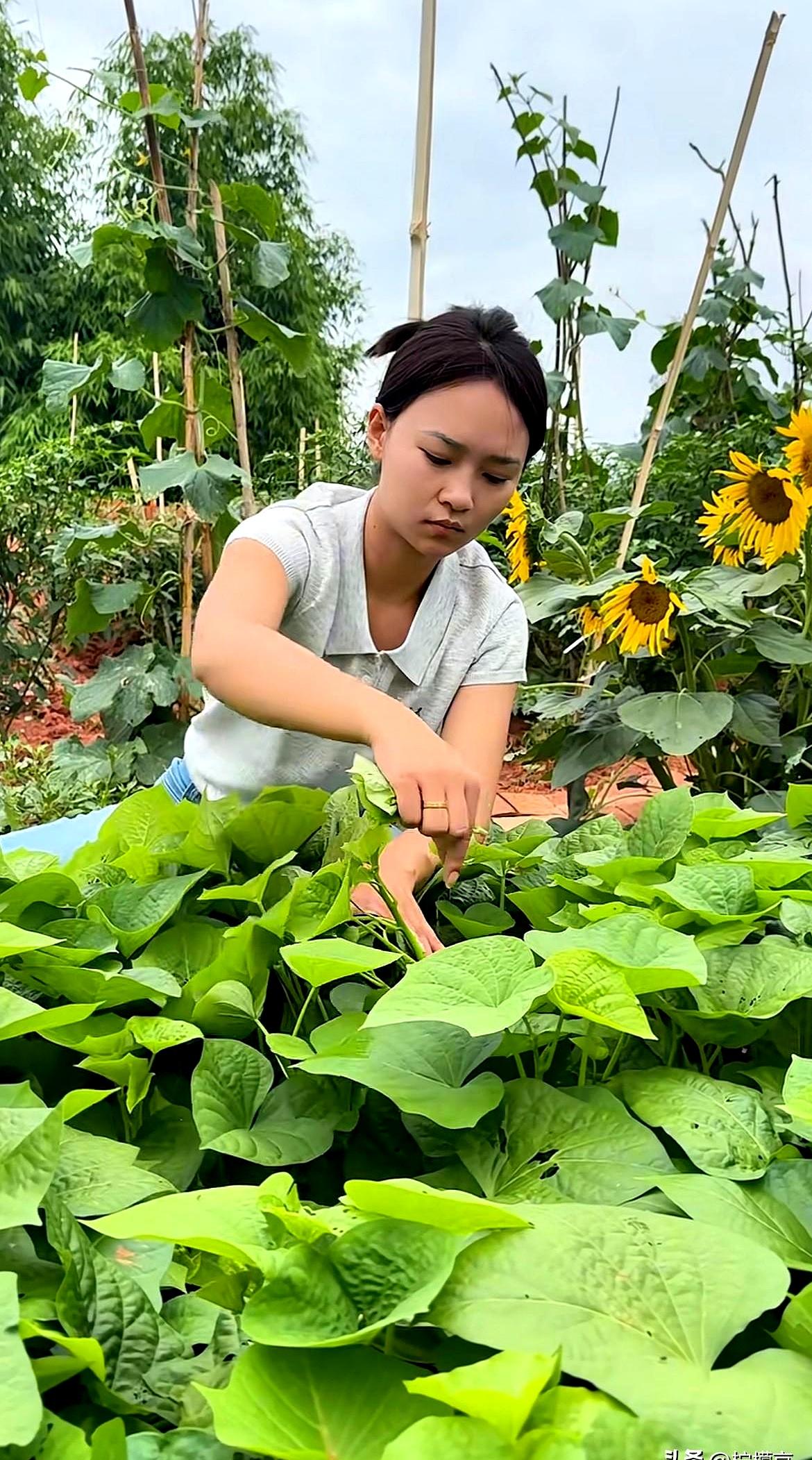 大姑姐那句“全过娃名下，你们娘俩自己去赚”，饭桌上丢过来时，像把冷刀。
人家还补