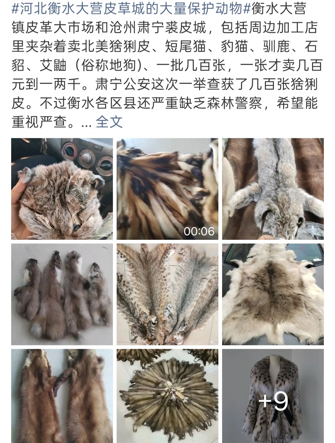 哪里的？