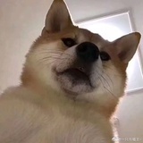 暖芦爱逛国际