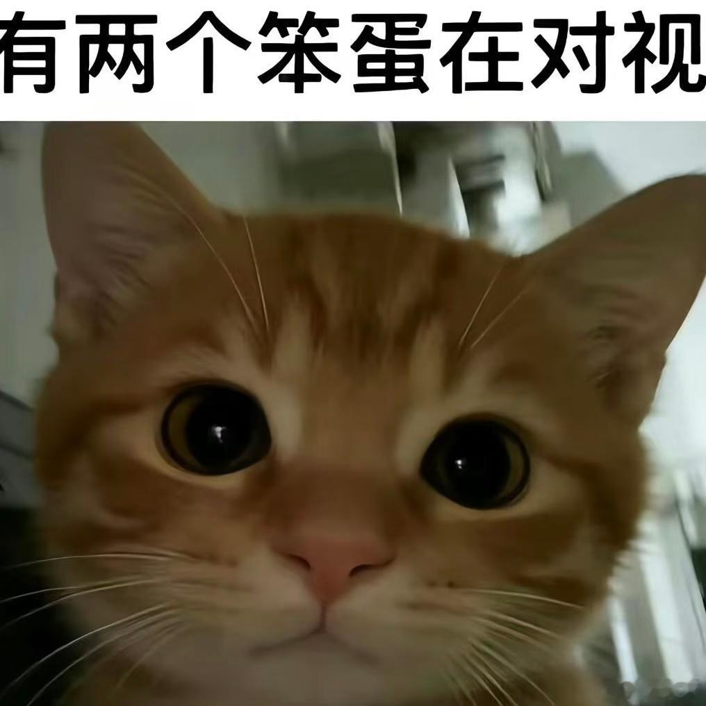 15838受概念明珠和自己老攻对视中，不娶她的不要看手坤！ 