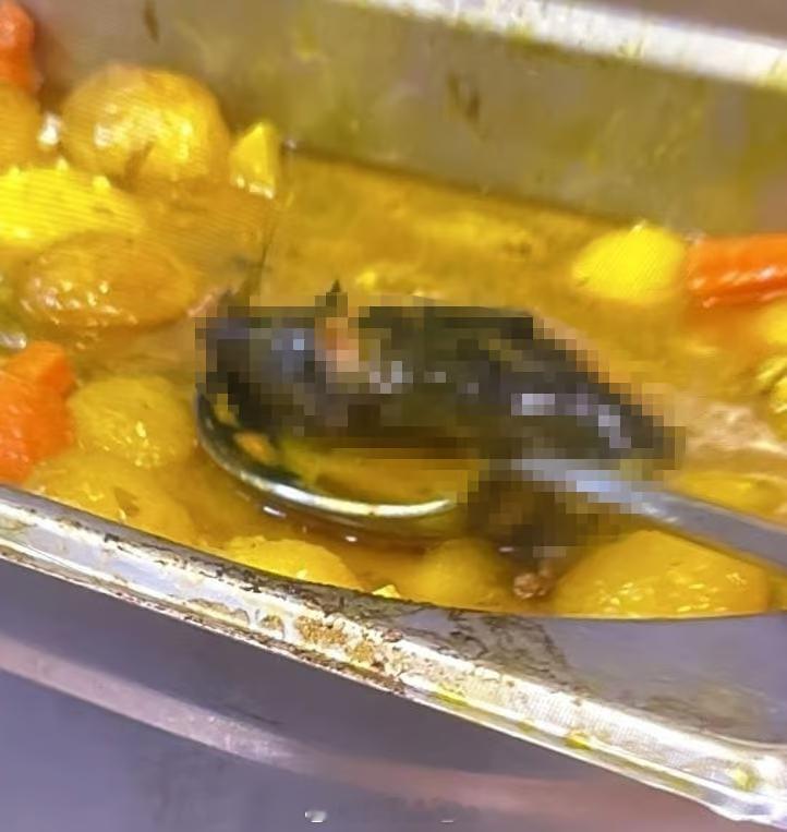 在以色列南部前线的乌里姆军事基地，以军士兵昨天在基地食堂的菜里吃出了整只的死老鼠