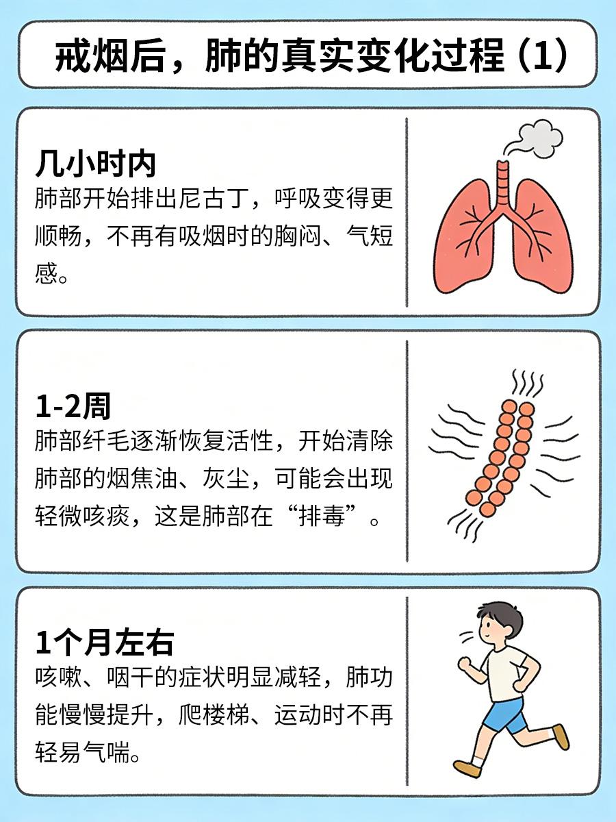 戒烟后，肺会经历这6个变化，太真实了
戒烟时总半途而废，觉得“戒烟没用，肺已经受